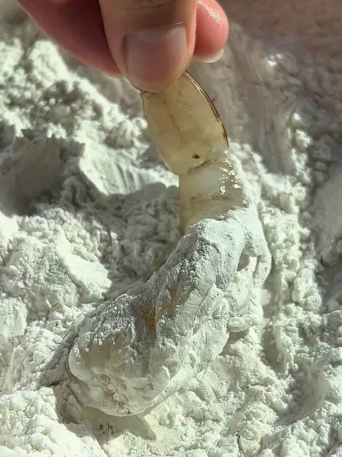 Shrimp dipped in flour and seasonings.