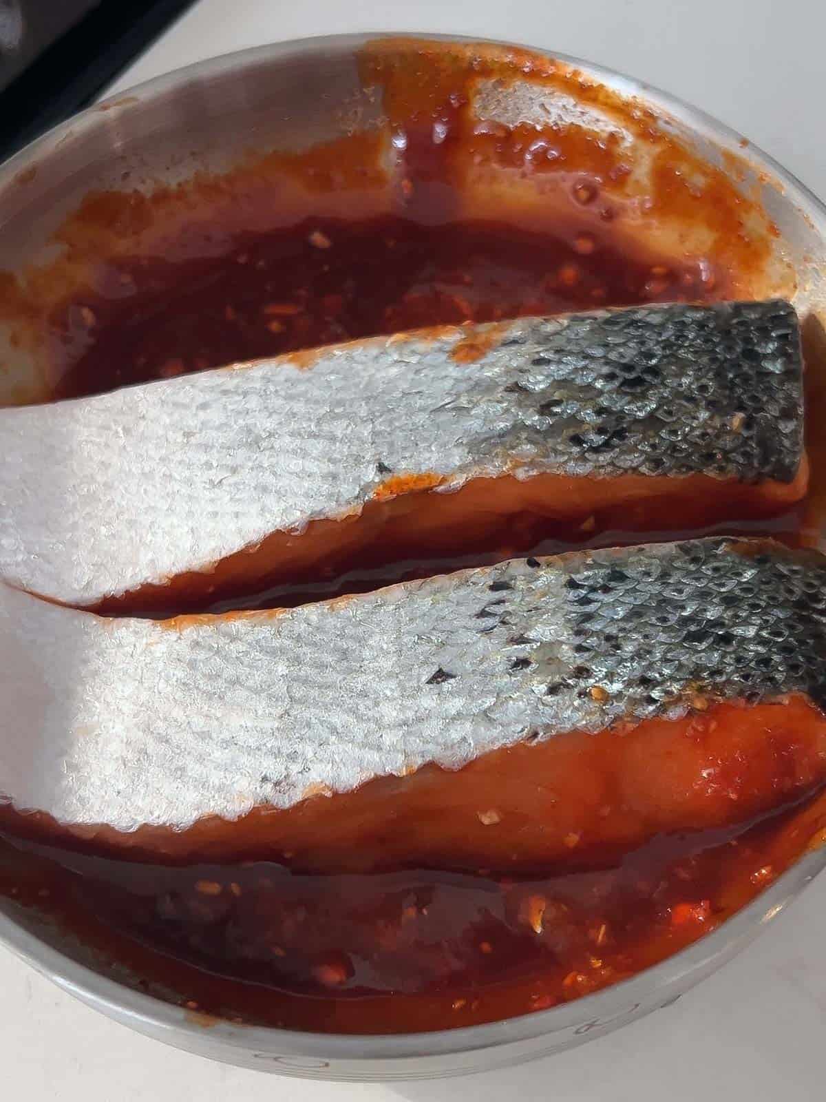 Salmon marinating in gochujang marinade.