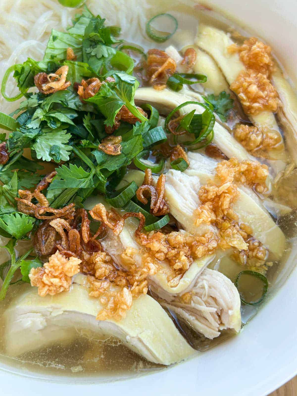 Close up shot of shredded chicken in bowl of soup with cilantro, fried garlic, fried shallots, and scallions.