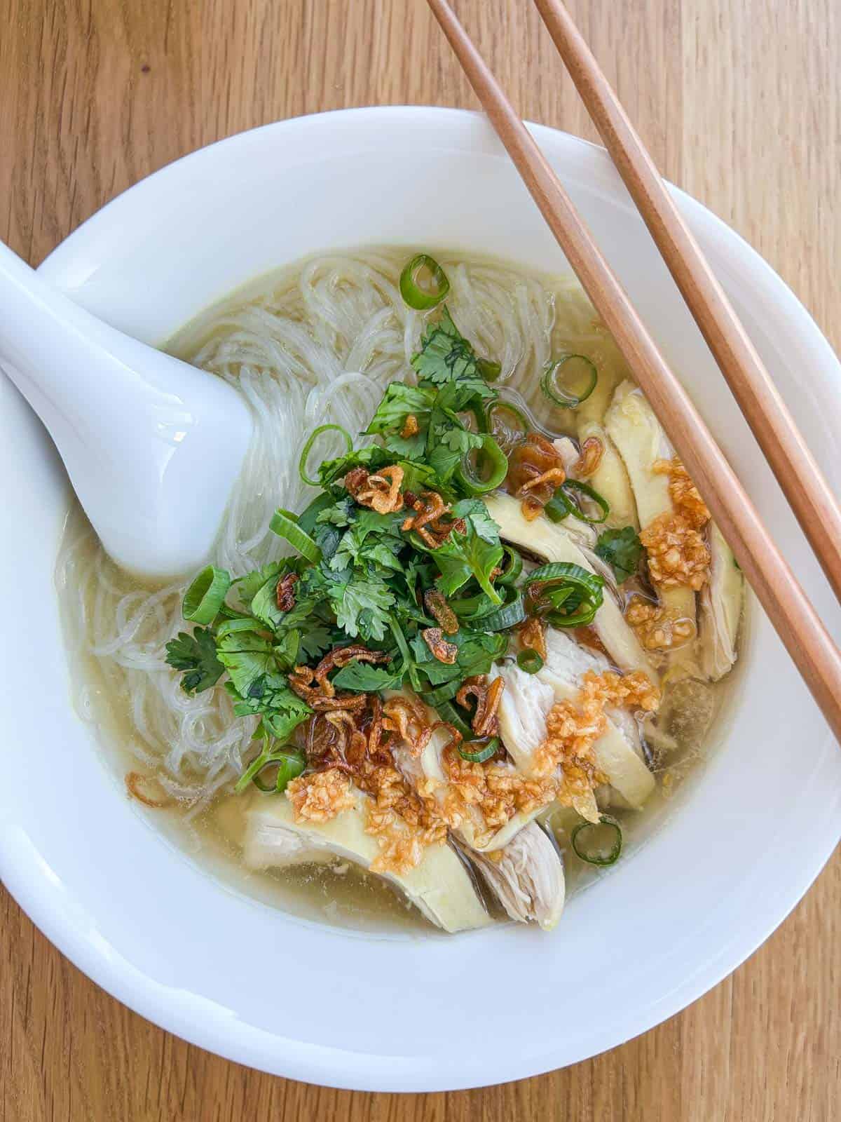 Overhead shot of shredded chicken in a bowl of soup with noodles, cilantro, fried garlic, fried shallots, and scallions.