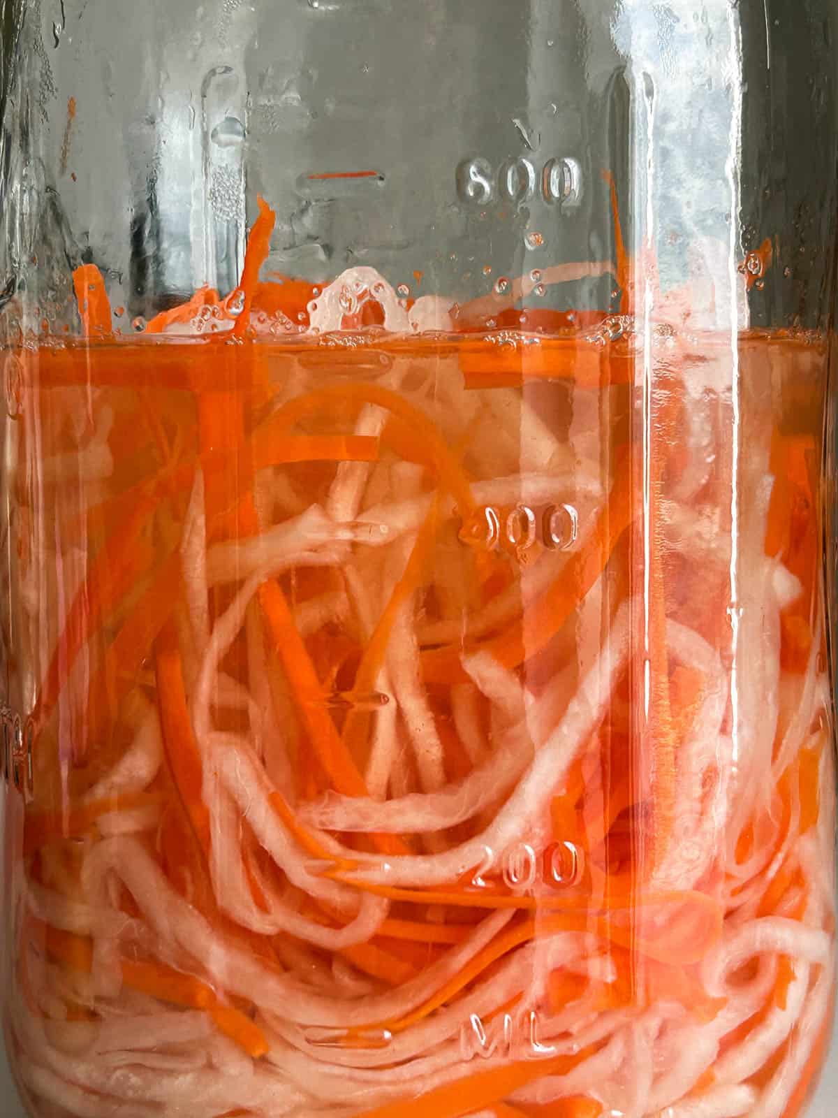 Pickled daikon radish and carrot in brine.